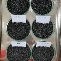Activated Carbon