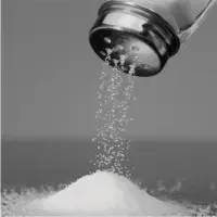 Refined Iodised Salt