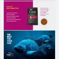 Fish Food