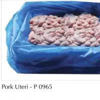 Frozen Pork