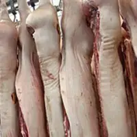 Frozen Pork Carcass