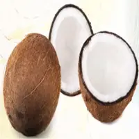 Coconut