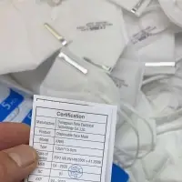 Kn95 Ffp2 Face Mask