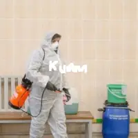 Garden 3l Hand Air Pressure Sprayer Disinfection
