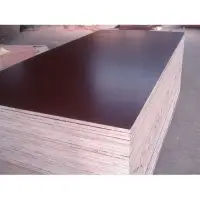 Brown Film Face Plywood