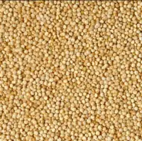 Quinoa Seed