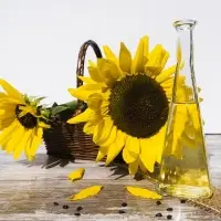Crude Sunflower Oil