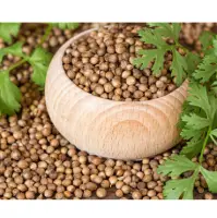 Coriander Seeds