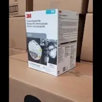 N95 Face Masks
