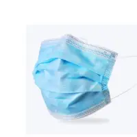 Disposable Protective Mask
