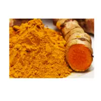 Curcumin 95