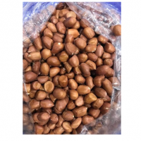 Cashew Nut