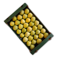 Fresh Apple