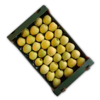 Fresh Apple