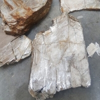 Mica