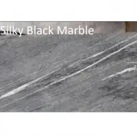 Silky Black Marble