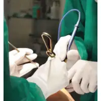 Latex Surgical Gloves - $P.O.A.