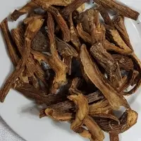 Gentiana Lutea Root