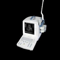 Ultrasound Coupler