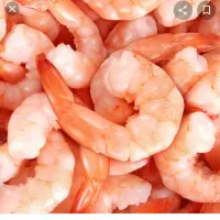Shrimp Ecuador