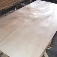 Veneer Face Back