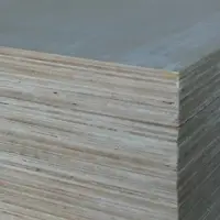 Laminated Veneer Lumber