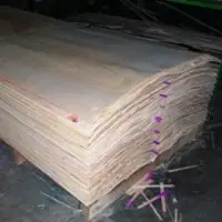 Long Grane Core Veneer