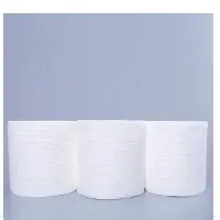 Recycled Toilet Paper