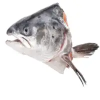 Norwegian Atlantic Salmon Head  (Frozen)