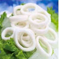 Squid Ring (Frozen) - EU Chemical Treated