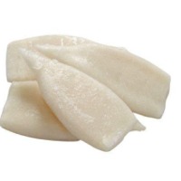 Squid Tube (Frozen) - EU Chemical Treated