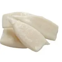 Squid Tube (Frozen) - EU Chemical Treated