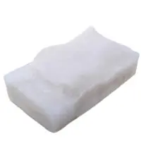 Squid Fillet (Frozen)