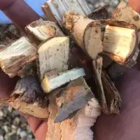 Eucalyptus Wood Chips