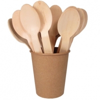 Eco Friendly Disposable Wooden Spoon