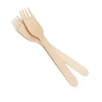 Eco Friendly Disposable Wooden Fork 160mm