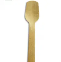 Eco Friendly Disposable Wooden Green Spoon 105mm
