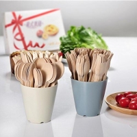 Eco Friendly Disposable Cutlery Set