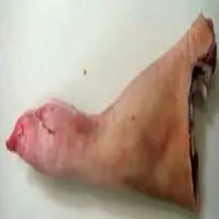 Pork Shoulder Hock Trotter On B/In R/ON