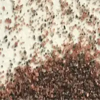 Garnet Sand