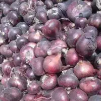Red Onions