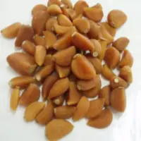 Dried Garlic