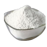 White Onion Powder