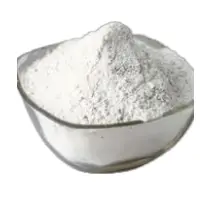 White Onion Powder