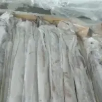 Frozen Ribbon Fish