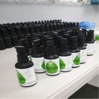 Tamanu Oil