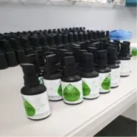 Tamanu Oil