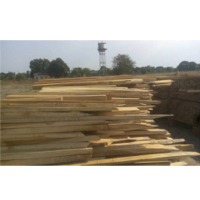 Teak Timber -Square Logs Slippers