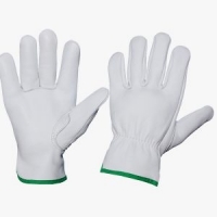 Leather Driver Gloves