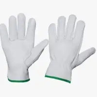Leather Driver Gloves